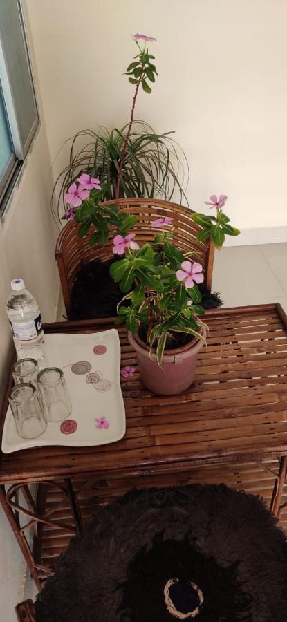 Love & Peace Apartment Jabalpur Eksteriør bilde